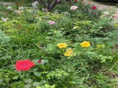天津夜总会招聘-商务夜场贤能至,铸就无悔好岁月